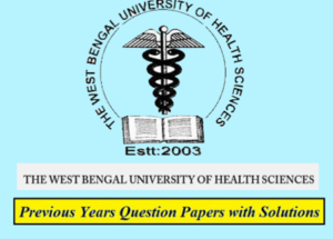 Wbuhs thesis guidelines 08 image